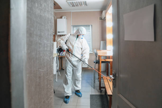 Best Airborne Mold Testing  in Spring Valley, AZ