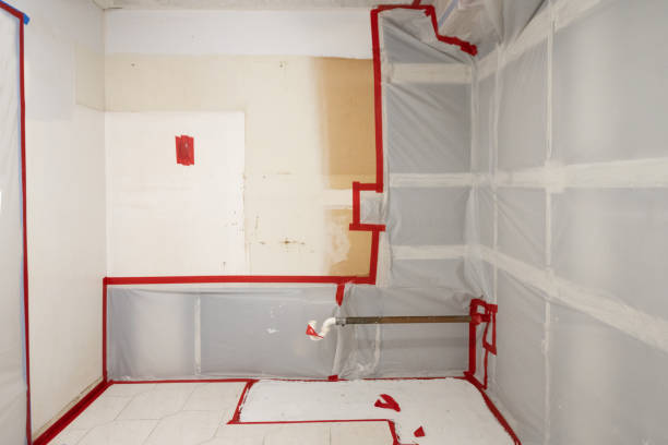Mold Remediation for Vacation Homes in Spring Valley, AZ