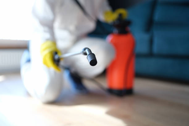 Best Biohazard Mold Removal  in Spring Valley, AZ