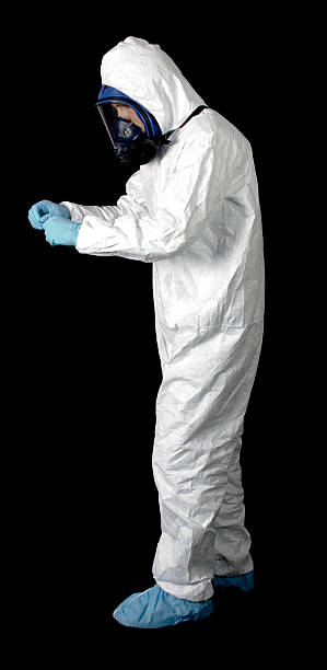 Best Emergency Mold Remediation  in Spring Valley, AZ