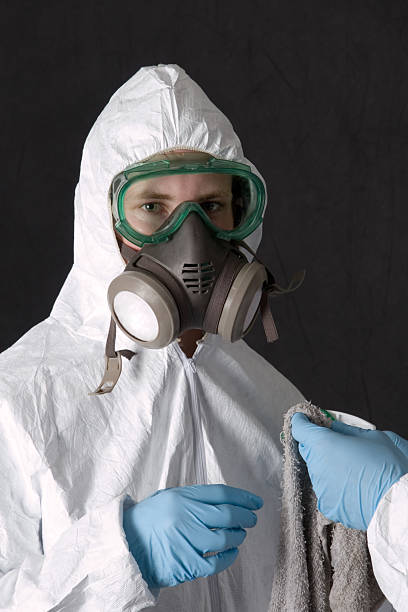 Best Black Mold Removal  in Spring Valley, AZ